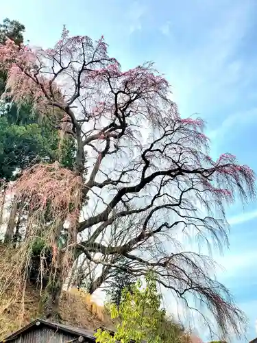 福聚寺(福島県)