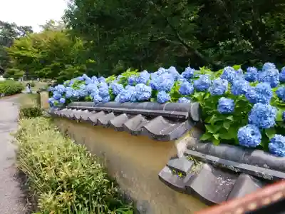 高月院のその他建物