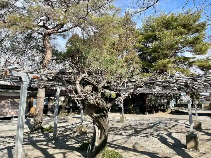 日限富士浅間神社(栃木県)