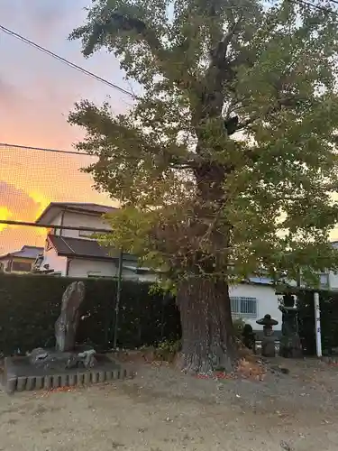 大魚神社(佐賀県)