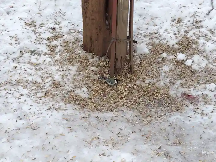上川神社のその他建物