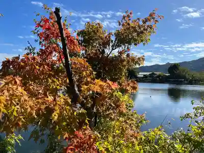 大覚寺(京都府)