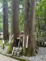 富士山東口本宮 冨士浅間神社(静岡県)