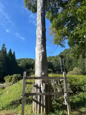 諏訪大社上社前宮(長野県)