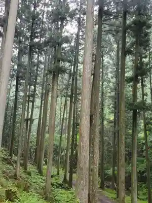 賀蘇山神社の周辺