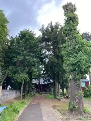 雷電神社(栃木県)
