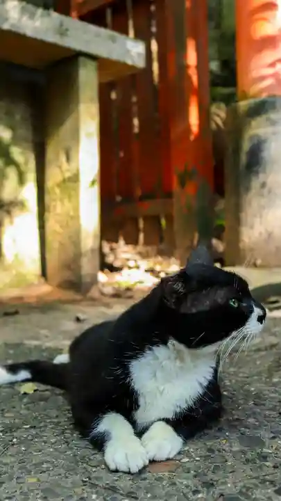 伏見稲荷大社(京都府)