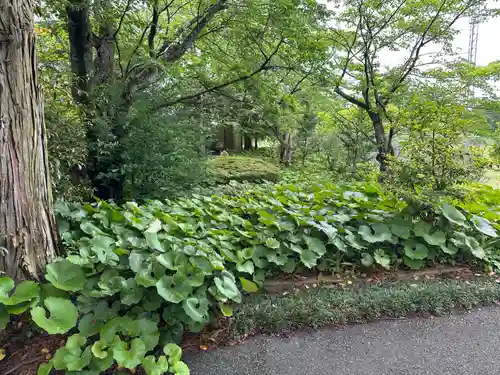 伯耆稲荷神社(鳥取県)