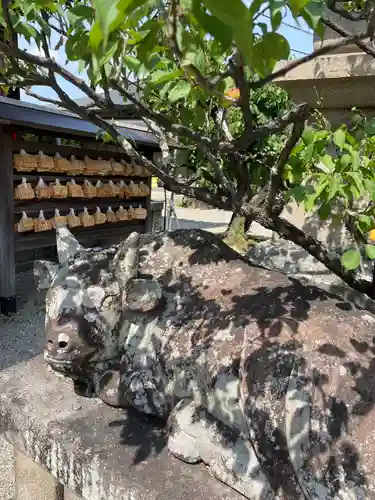 菅原天満宮（菅原神社）の狛犬