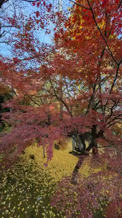 岩屋寺(京都府)