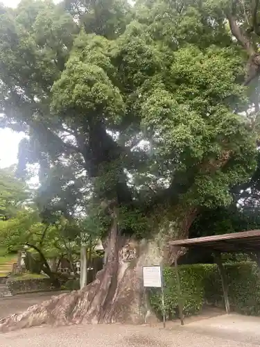 粉河寺(和歌山県)