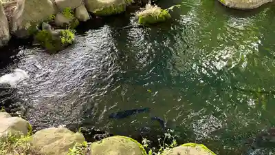 白鳥神社(長野県)