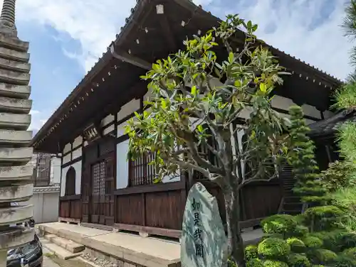 大恩寺(京都府)