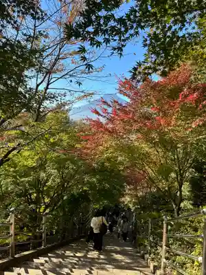 新倉富士浅間神社(山梨県)