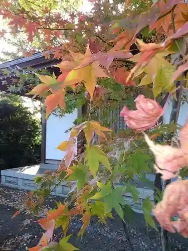 金蔵院の末社・摂社