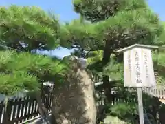 四天王寺の自然