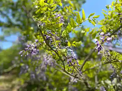 足穂神社の自然