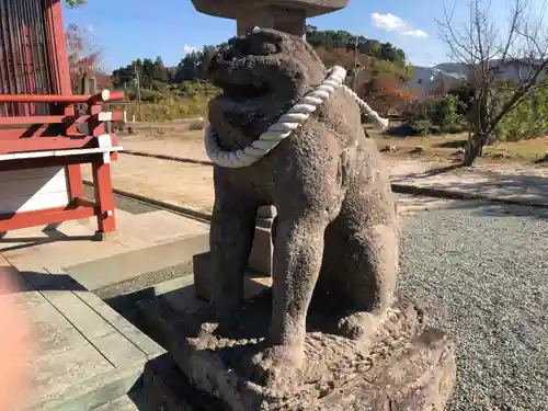 市来神社の狛犬