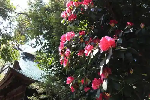 阿邪訶根神社の庭園