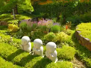 寿量山 速成寺の庭園(2023年05月26日(金) 10時54分45秒投稿)