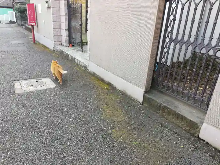居木神社の動物