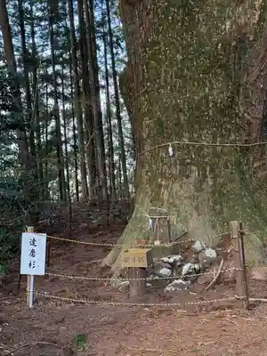 智満寺(静岡県)