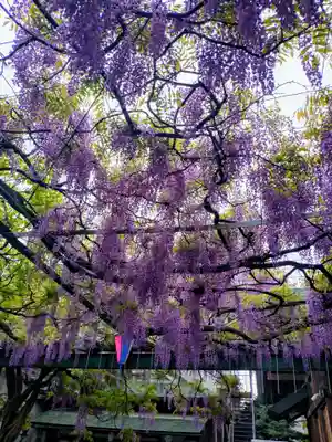 國領神社(東京都)