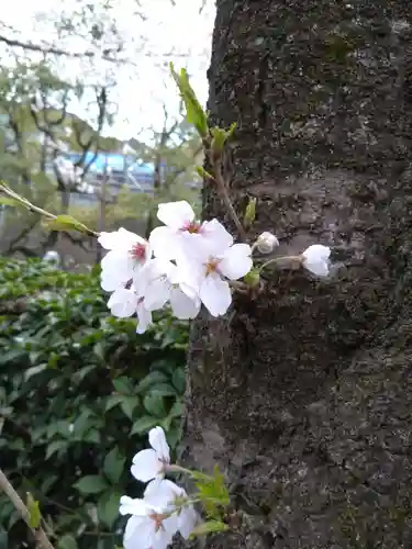 加藤神社(熊本県)