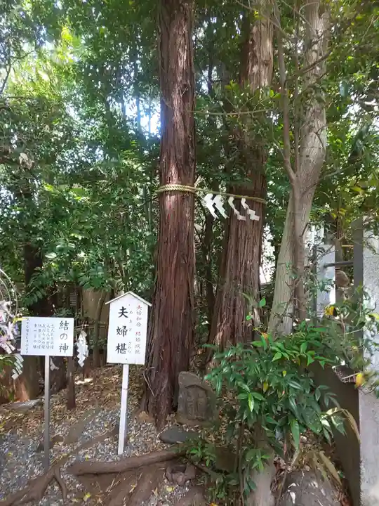 座間神社の自然