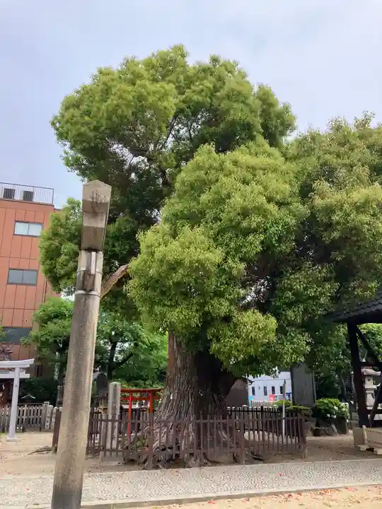 阿遅速雄神社(大阪府)
