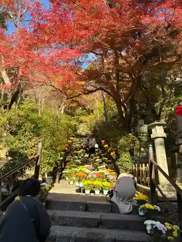 長谷寺(奈良県)