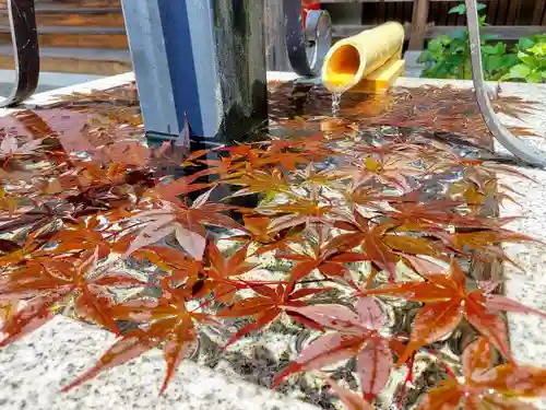 霊泉寺の手水舎