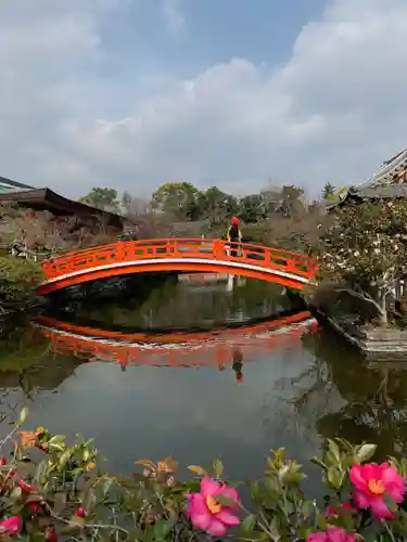 神泉苑の庭園