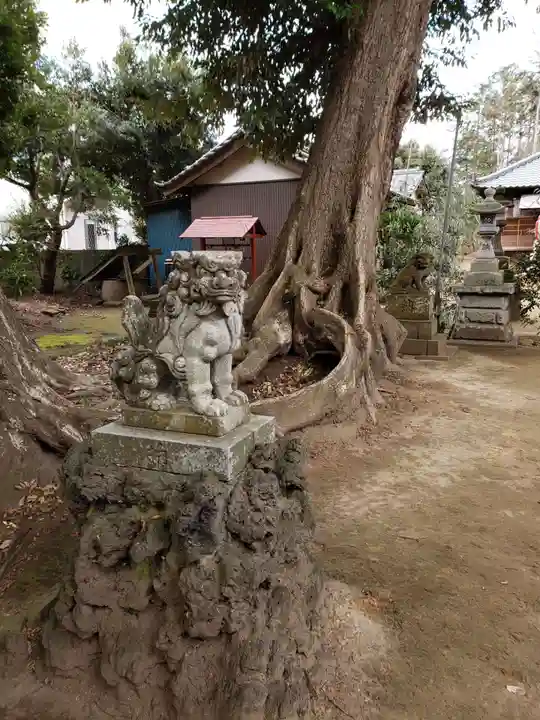 率土神社の狛犬