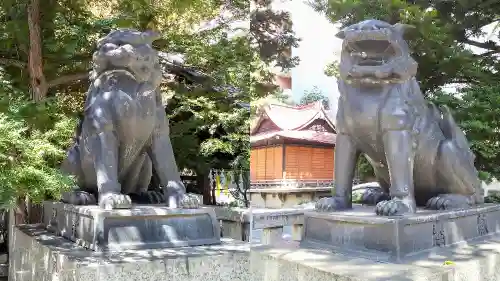 三吉神社の狛犬