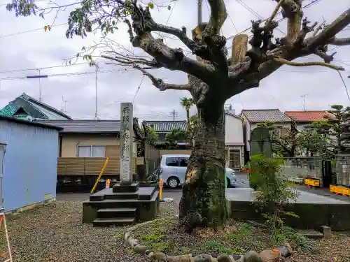 薬師寺の周辺