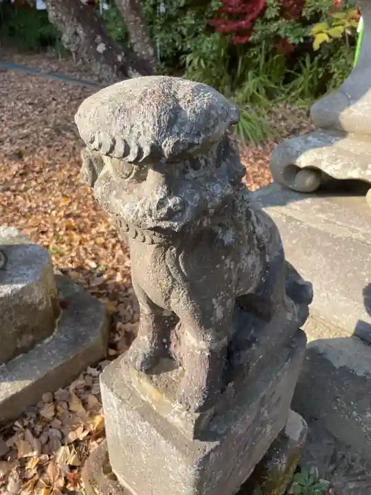 白旗神社(西御門)の狛犬