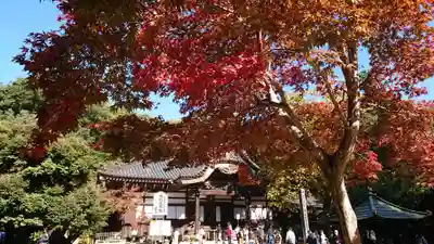 深大寺の本殿・本堂