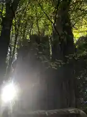 大國魂神社(東京都)