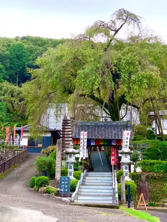 林陽寺の山門・神門