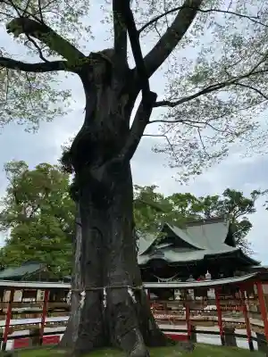 上野総社神社(群馬県)