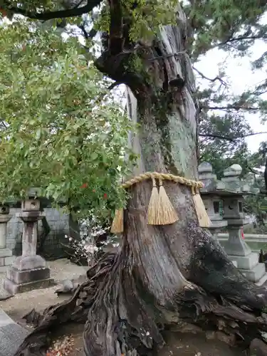 住吉大社(大阪府)