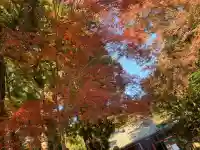 観心寺(大阪府)