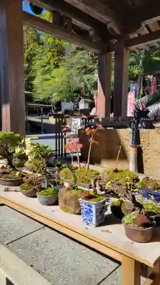 敢國神社(三重県)