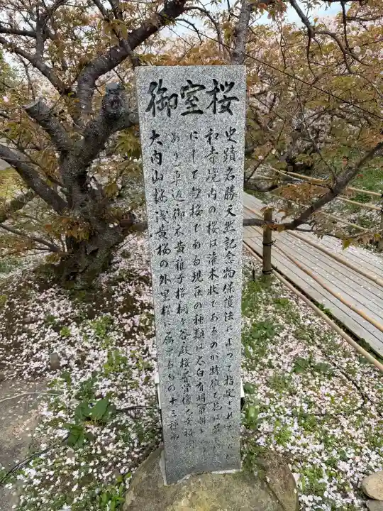 仁和寺の{uncategorized: "未分類", other: "その他", undefined: "問題あり", building: "その他建物", grave: "お墓", sacred_gate: "鳥居", guardian: "狛犬", statue: "像", buddha: "仏像", history: "歴史", nature: "自然", garden: "庭園", animal: "動物", pagoda: "塔", temizu: "手水舎", mountain_gate: "山門・神門", sanctuary: "本殿・本堂", subordinate: "末社・摂社", art: "芸術", scenery: "景色", jizo: "地蔵", ema: "絵馬", goshuin: "御朱印", omikuji: "おみくじ", items: "授与品その他", amulet: "お守り", goshuincho: "御朱印帳", eats: "食事", festival: "お祭り", votive_dance: "神楽", shichigosan: "七五三参", wedding: "結婚式", experience: "体験その他", initially: "初詣", around: "周辺", anti_infection: "感染症対策"}