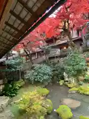 柳谷観音　楊谷寺の庭園