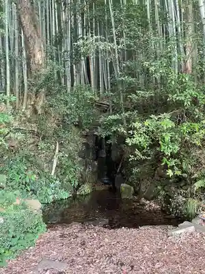 眞名井神社(島根県)