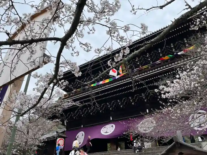 知恩院(京都府)