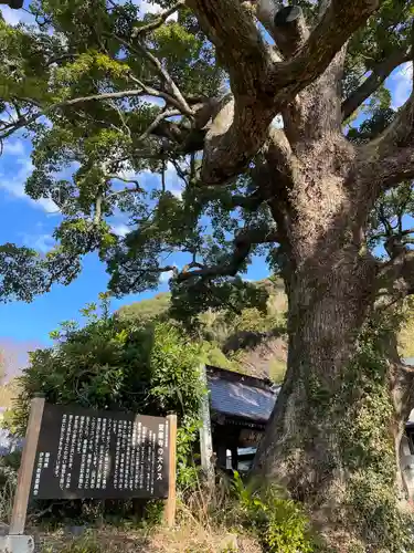 安楽寺(静岡県)