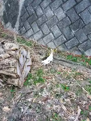 稲荷神社(野田町)(栃木県)